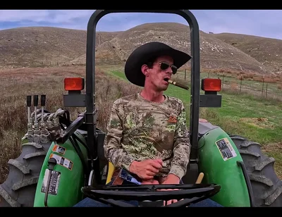 Do You Like the Color Grading?