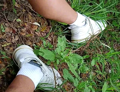 Compilation Pisses Urine by Master David