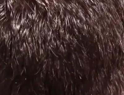 French bottom fucked bareback in the swimming pool by 2 rented boys