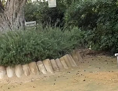 Agf: I Have Fun with My Friend in the Park in Full View of Everyone! Pee Included.