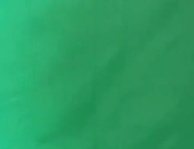 Two Yellow Thongs Try on (the Free Cut)