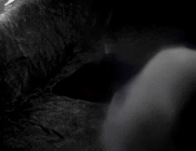 Hump Masturbation Black and White with the First Real Webcam in 1996