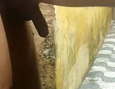 My Neighbor Loves to Play with Me in the Backyard