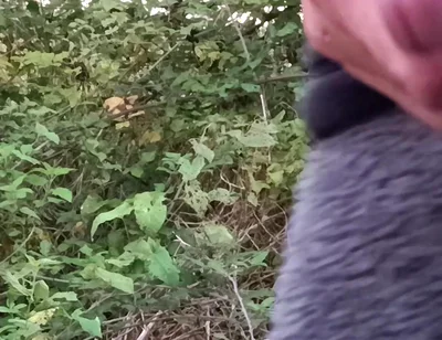 Moaning Squirting Cumshot Wanking in the Woods Wearing Onesie