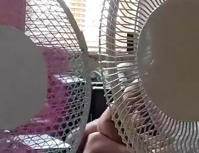 April Special Edition Video