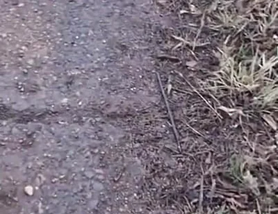 Fuck a Taxi Driver for a Free Ride, Big Cocks, Public Sex, and Lots of Cum!