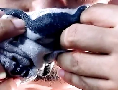 Come Play with Your Man