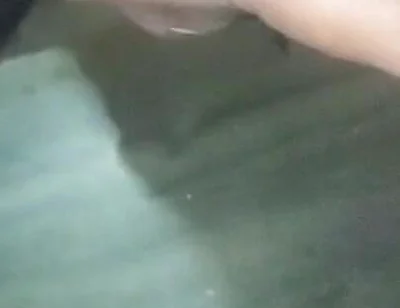 Bhabhi Pussy Hole Sucking College Room