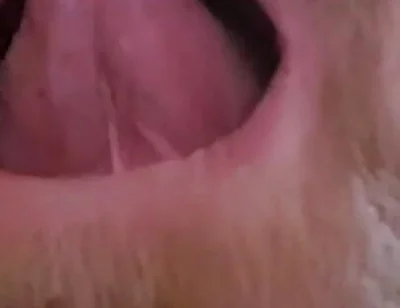 Mature Chubby Bear Toothless. Watch Inside My Toothless Mouth and Meet My Tongue - Mouth Fetish