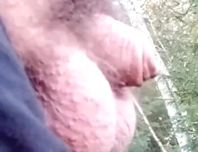 484118313627033600.mp4