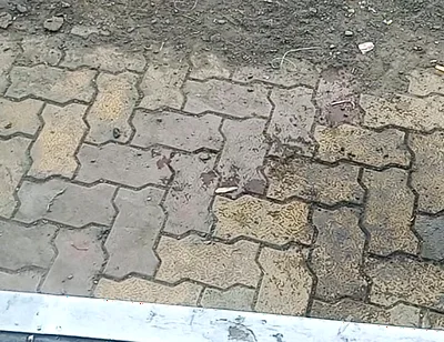 Desi Gay Boy Sucking Wife and Pussy