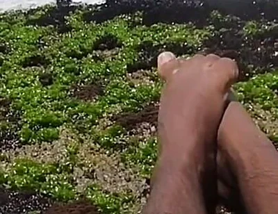 My Beautiful Feet After a Day of Work Taking Vitamin D on the Beach