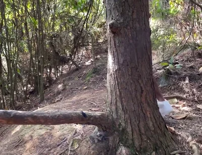 A Curious Heterosexual Boy Saw Me Masturbate in the Forest and We Ended up Fucking