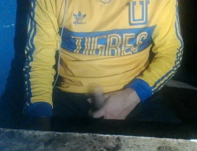 Excellent Pajero Thursday