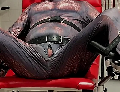 Playing Puppies the First Examination