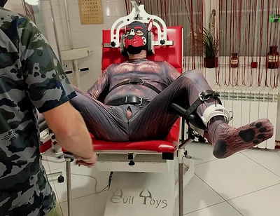 Playing Puppies the First Examination