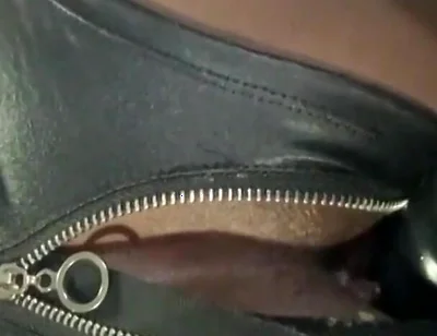 Black Gets Asslips for Xmas! Starring Dj Buttpussy