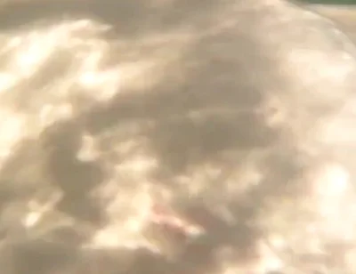 I Cum Just for the Pleasure of Feeling Free, Naked on a Public Beach