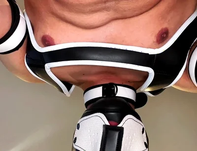 Alpha Pup Hood Dominate You