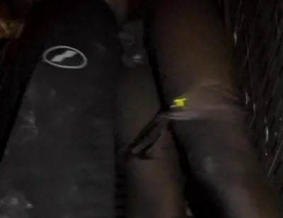 Have Been Craving for It