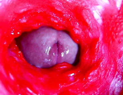 Extreme close-up ASMR head inside wet pussy