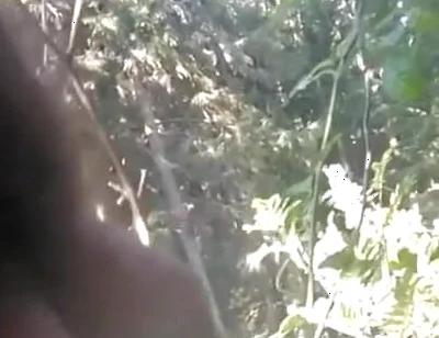 Pissing in My Backyard