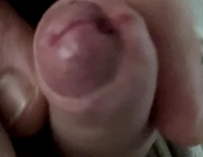 Came Twice and Just on the Carpet