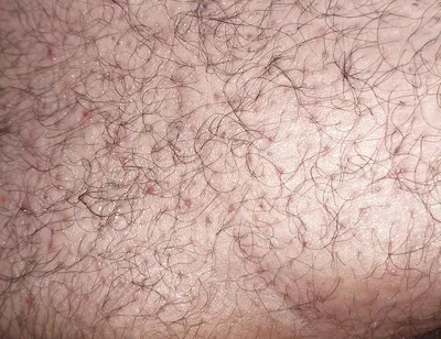 A Close up Ass Worshiping and Fingering