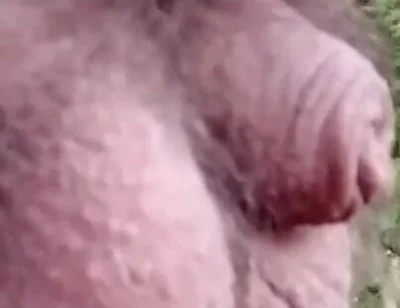 Pissing in the Woods