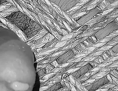 Hot Indian Gay Cumshot Video