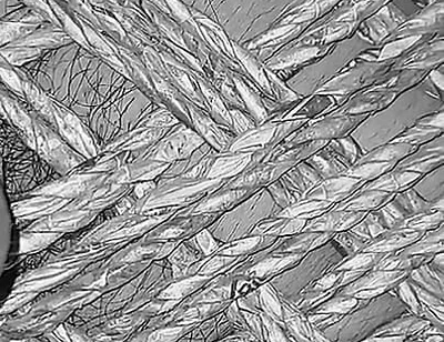 My New Nude Masturbation Sex Video.