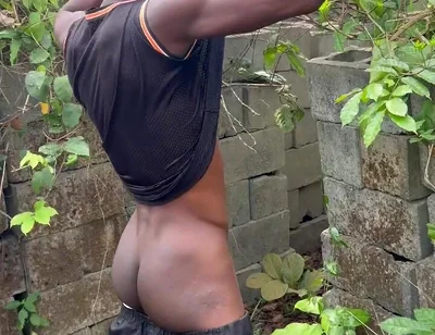 A Vacation in the Wilderness