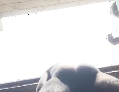 Doggy Bareback Below View