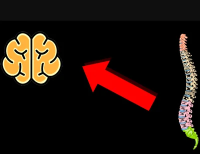 The Science Behind Male Multiple Orgasms