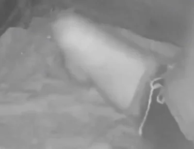 During His Jog, a Guy Discovers a Young Camper and Submits Him - Caught on Night Vision Cam