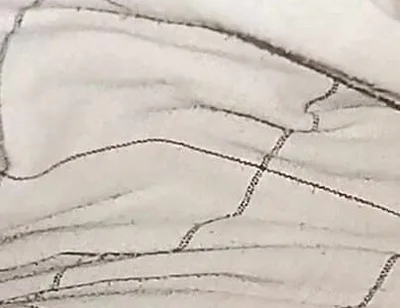My Big Cock Without Condom Fucking Pussy