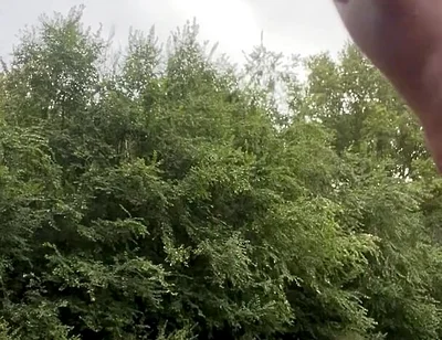 Jerking in the Woods