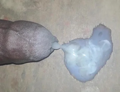 A Big Black Cock Full of Cum