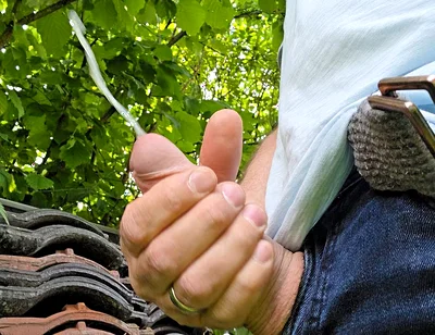 My Big Fat Cock! Playing and Cumming Outside