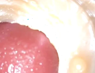 Compilation Creampie Part 4 POV