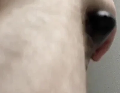 Shaving and trimming my cock, balls, and face