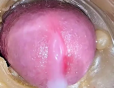 Compilation Creampie Part 5 POV