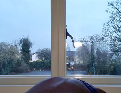 The Blue Harness and Jock