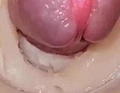 Compilation Creampie Part 8 POV