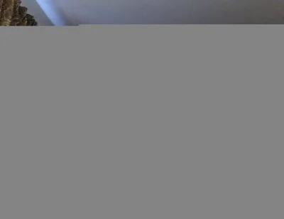 In the Bedroom with Braxton