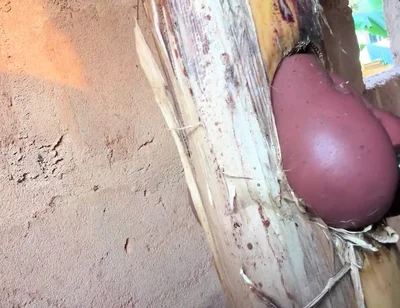 The Prisoner Find Hard Way to Sex