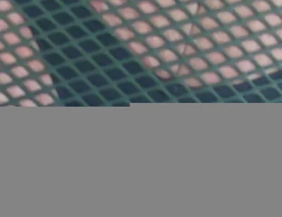 Show My Fat Ass and Balls on the Chair