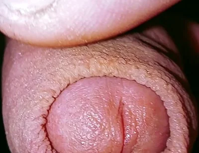 Caress and Suck a Small