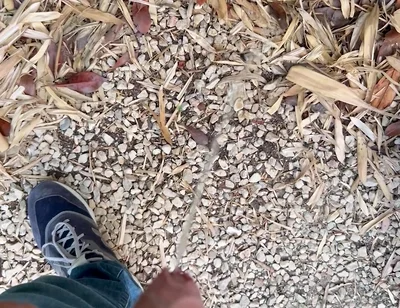 Peeing in the Garden