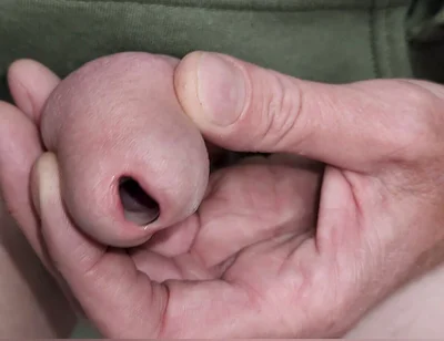 Urethral Toys and Gaping Pee Hole While Urinating